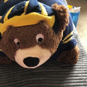 Plush Bear with Blue and Yellow Outfit
